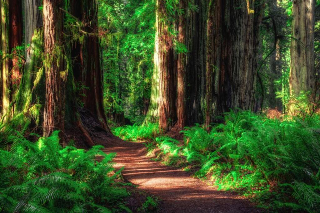 Bear Mountain - Suite 7 Grants Pass Luaran gambar